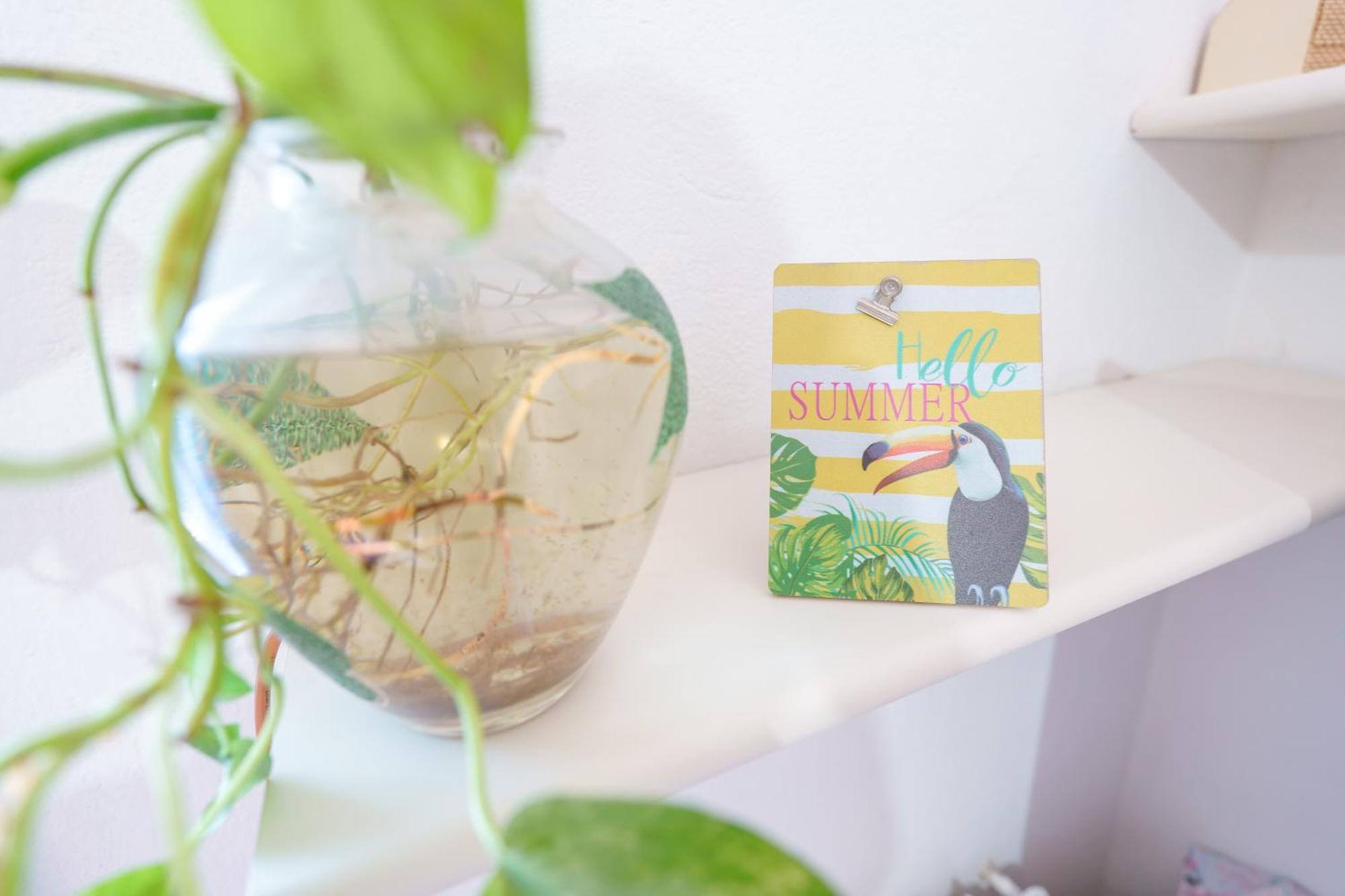 B&B POTHOS - ENG ITA - Rooms with Air Conditioning Wi-Fi Fridge Netflix Bike Rent Local Guide - Camere con aria condizionata, frigo, internet, guida locale, noleggio bici Cagliari Esterno foto